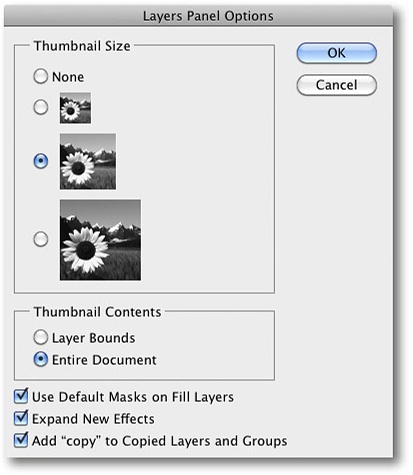 Select your preferred icon size in the Layers panel Options dialog.