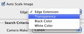 The Auto Scale Image handling options.