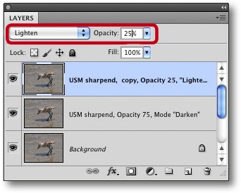 The top layer’s blend mode is set to Lighten and Opacity to 25%.