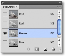 Selecting the green channel