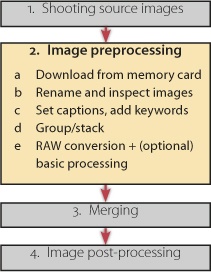 Workflow steps for the preprocessing phase