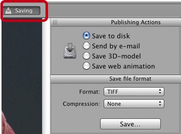 Helicon Focus offers several ways to save images.