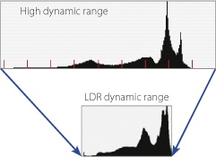 Converting from HDR to LDR reduces the dynamic range of an image to 8 or 16 bits per color channel. The details of the algorithms used to do this remain the secret of the software companies that make them.