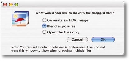 When you drag files to the Photomatix icon, the program will ask which process you want to apply.