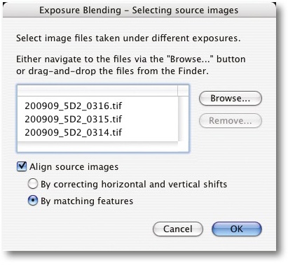 Selecting the source files and alignment options