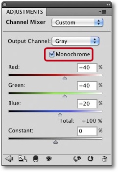 Activate the Monochrome option for black-and-white conversions.