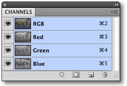 The Channels panel for the image in