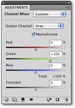 This setting creates a 100% green channel image.