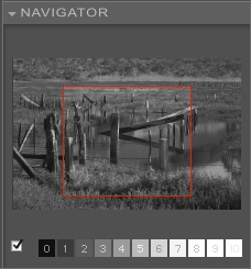 The navigator, with its zone mapping tool, becomes a loupe at its 100% zoom setting.