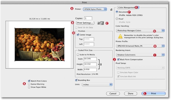 Photoshop CS5 print dialog. This includes the new direct printer selection option.