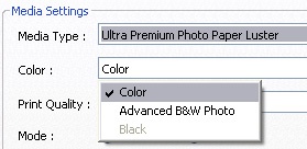 In the Color menu you can select either Color or Advanced B&W Photo.