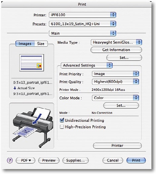 Main iPF6100 printer driver settings