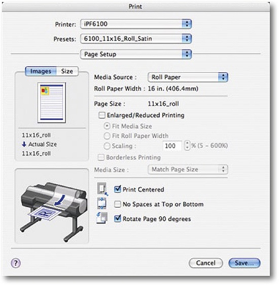 Page Setup tab for the iPF6100 driver