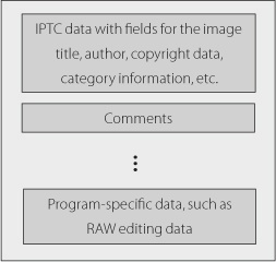 XMP is a structured, extensible container for various types of image metadata.