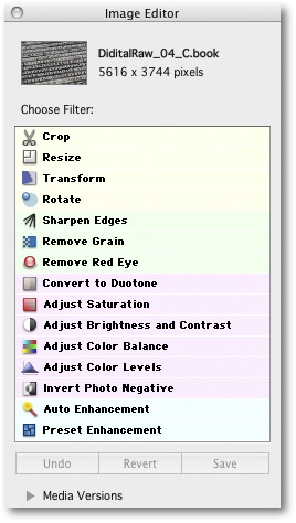 Expression Media 2 image processing tools