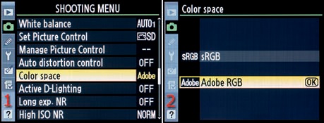 Selecting a color space