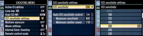 Setting ISO sensitivity