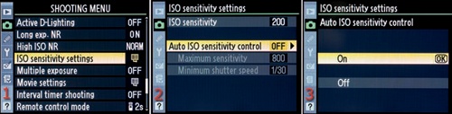Using the Auto ISO sensitivity control