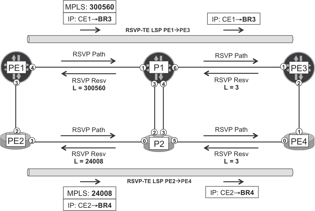 RSVP-TE LSPs on Junos and IOS XR planes