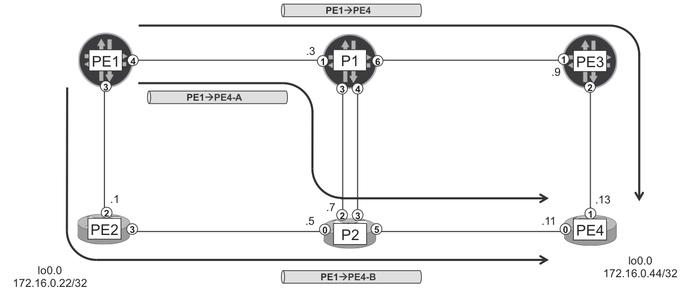 Three RSVP-TE LSPs from PE1 to PE4