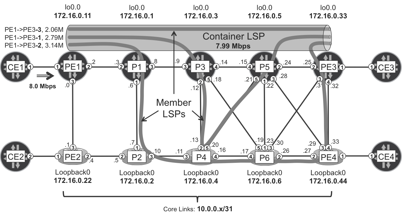 RSVP-TE multipath