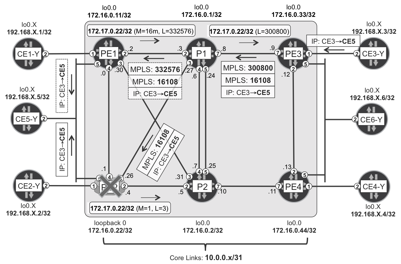 Egress protection (service mirroring) topology—combined protector/backup egress PE model