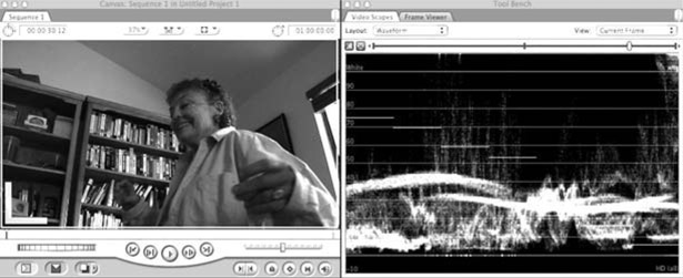 Figure 7-8 The waveform monitor.