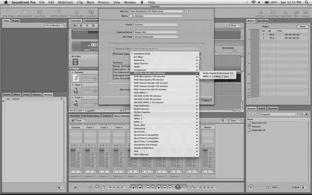 Figure 10-11 When exporting video only that is destined for a standard DVD, begin by using the DVD Quality presets in the Encode Video dropdown. This is a good way to export video to be burned to a standard DVD for client use.