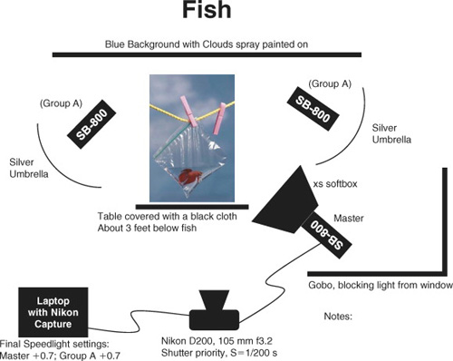 Fish lighting diagram (see photo on page 122).