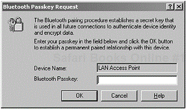 The user is requested to enter his or her passkey to authenticate with the LAP device. (Courtesy of TDK Systems Europe.)