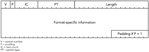 The Basic RTCP Packet Format