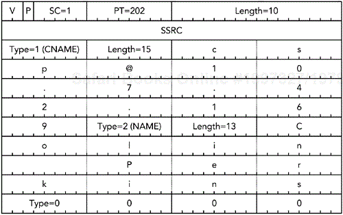 A Sample SDES Packet