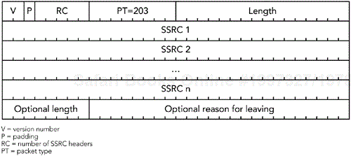 Format of an RTCP BYE Packet