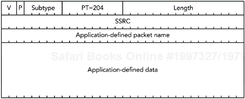 Format of an RTCP APP Packet