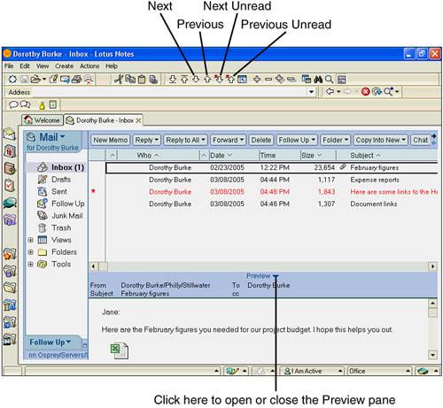 The Preview pane enables you to read most mail messages quickly. If you prefer, press the Enter key to view your mail message, and use the Navigate View buttons on the toolbar to navigate through your mail.