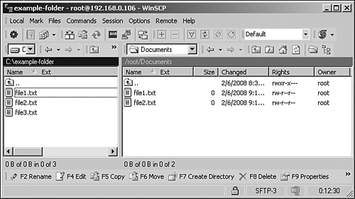The WinSCP file-transfer window