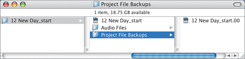 Saving a Project and Making Automatic Backups