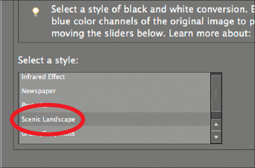 Choose your preset style