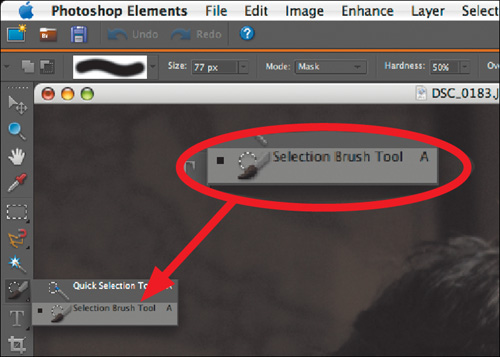 Choose the Selection Brush tool