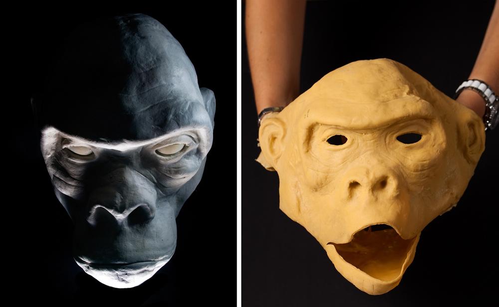 Base model for animatronic gorilla head and latex skin made from it.