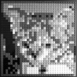 Izzy the kitten becomes Izzy the LEGO mosaic. Remember to step back a few feet and let your eyes see the bricks as one image and not as individual elements.