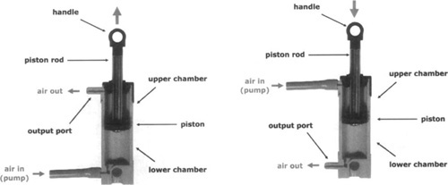 Cutaway of the Large Cylinder in Action