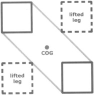 A Four-Legged Robot with Two Legs Lifted