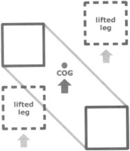 A Four-Legged Robot with Two Legs Lifted and Advanced