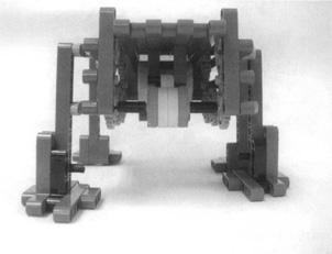 Front View, the Robot Stands on Two Legs