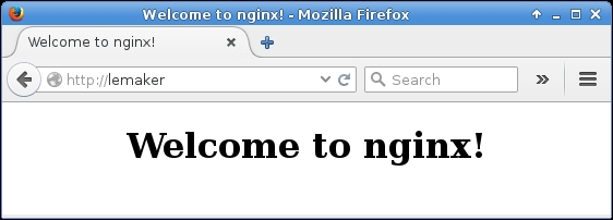Installing the Nginx web server