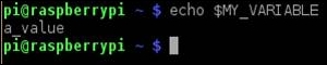 Environmental variables