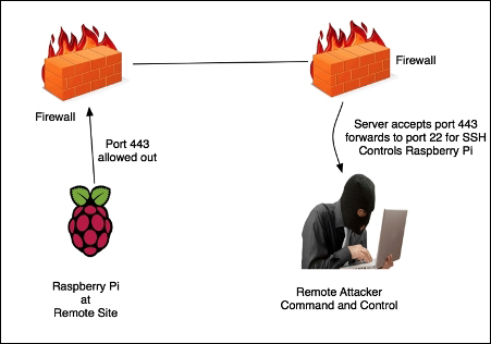 Reverse shell through SSH