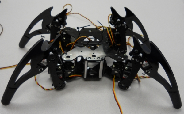 Building the quadruped platform