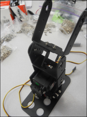 Building the biped platform